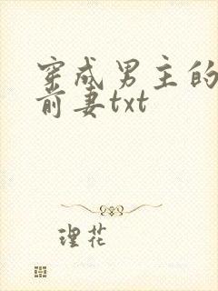 穿成男主的炮灰前妻txt