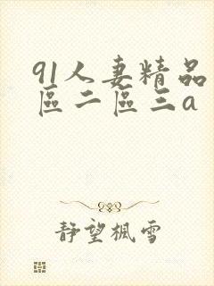 91人妻精品一区二区三a封面