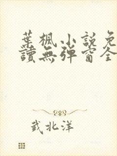 叶枫小说免费阅读无弹窗全文