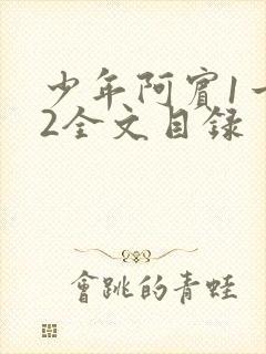 少年阿宾1一72全文目录封面