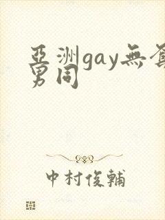 亚洲gay无套男同