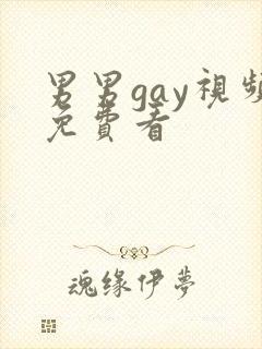 男男gay视频免费看