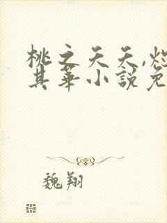 桃之夭夭,灼灼其华小说免费阅读