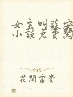 女主叫苏安然的小说免费阅读封面