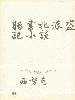 听书北派盗墓笔记小说