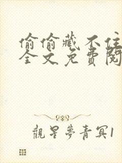 偷偷藏不住在线全文免费阅读无弹窗封面