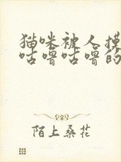 猫咪被人摸发出咕噜咕噜的声音