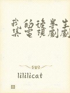 我的后半生42集电视剧剧情封面