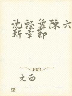 沈轻舞陈六何最新章节