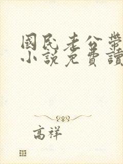 国民老公带回家小说免费读