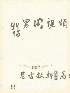 gv男同视频网站封面