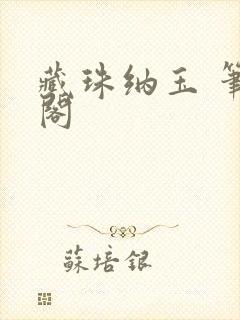 藏珠纳玉 笔趣阁