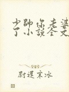 少帅你老婆又跑了小说全文阅读