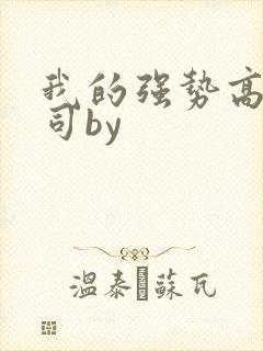 我的强势高冷上司by