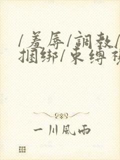 /羞辱/调教/捆绑/束缚视频封面