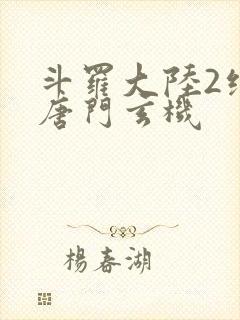 斗罗大陆2绝世唐门玄机封面