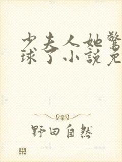 少夫人她惊艳全球了小说免费阅读