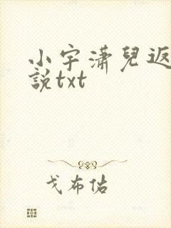 小宇潇儿返乡小说txt