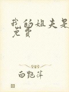 我的姐夫是太子免费