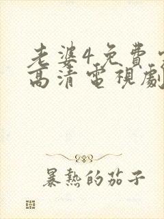 老婆4免费完整高清电视剧封面