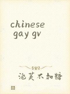 chinese gay gv