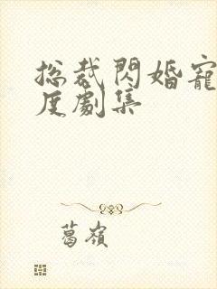 总裁闪婚宠妻无度剧集