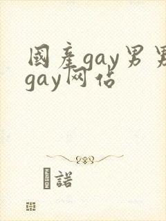 国产gay男男gay网站封面
