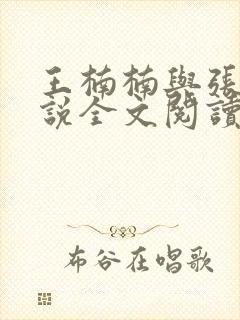 王楠楠与张浩小说全文阅读