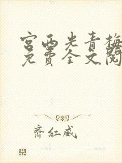 宫西光青梅竹马免费全文阅读笔趣阁