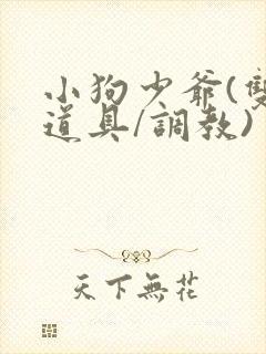 小狗少爷(双/道具/调教)封面