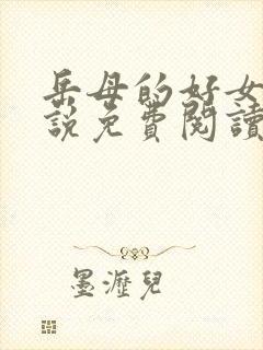 岳母的好女婿小说免费阅读