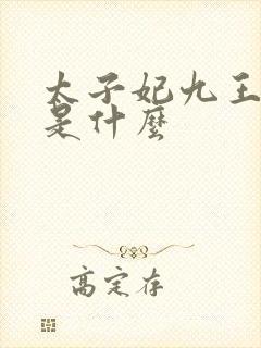 太子妃九王结局是什么