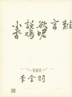 小说欲言难止麦香鸡呢