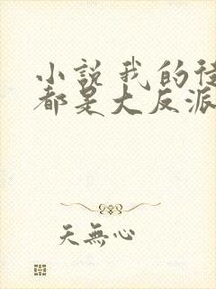 小说 我的徒弟都是大反派