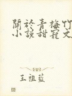 关于青梅竹马的小说甜宠文
