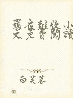 羁夜难收小说全文免费阅读无弹窗