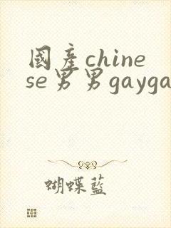 国产chinese男男gaygay在线播放