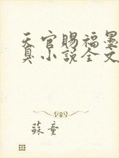 天官赐福墨香铜臭小说全文阅