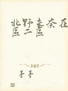 北野未奈在线一区二区封面