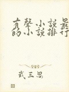 有声小说最好听的小说排行榜封面