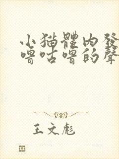 小猫体内发出咕噜咕噜的声音