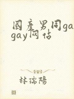 国产男同gaygay网站封面