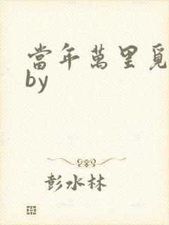 当年万里觅封侯by