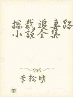 总裁追妻路漫漫小说全集