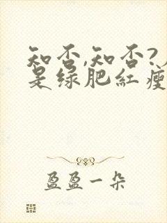 知否,知否?应是绿肥红瘦原著小说