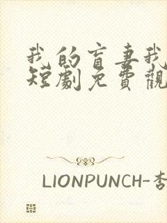 我的盲妻我的心短剧免费观看完整版