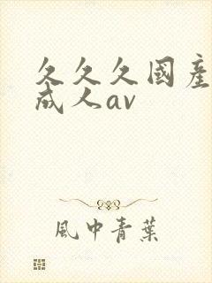 久久久国产精品成人av