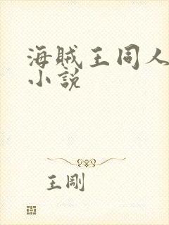 海贼王同人后宫小说