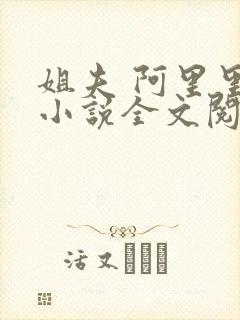 姐夫 阿里里呀小说全文阅读