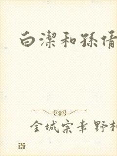 白洁和孙倩小说封面